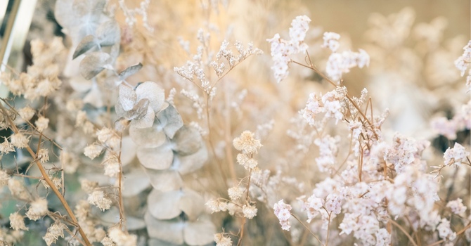 Therapy for Mental Health