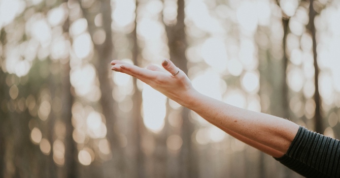 Reiki & Shamanic Healing