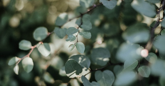 Therapy for Mental Health